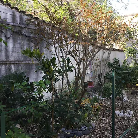 Дом отдыха Maisonette Bedogao *