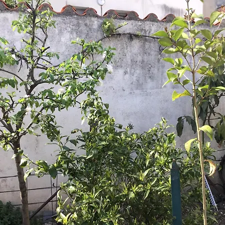 度假居 Maisonette Bedogao *