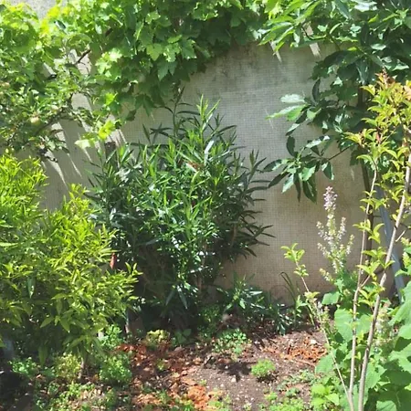 度假居 Maisonette Bedogao