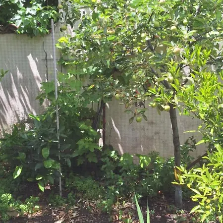 Maisonette Bedogao 度假居