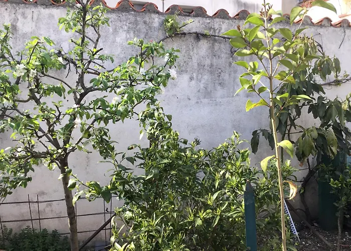 Hébergement de vacances Maisonette Bedogao *